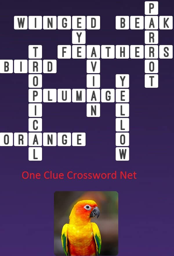 tropical parrot crossword clue