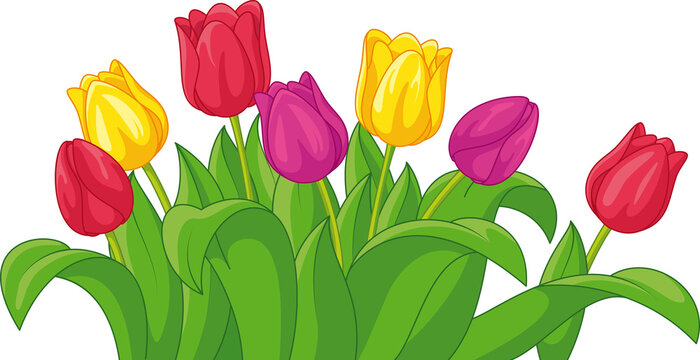 tulip cartoon