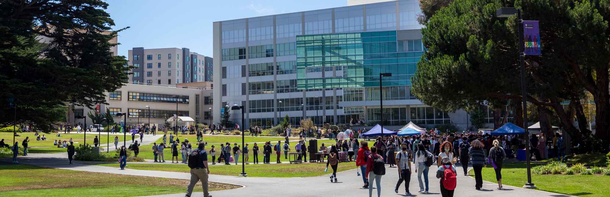 university of san francisco niche