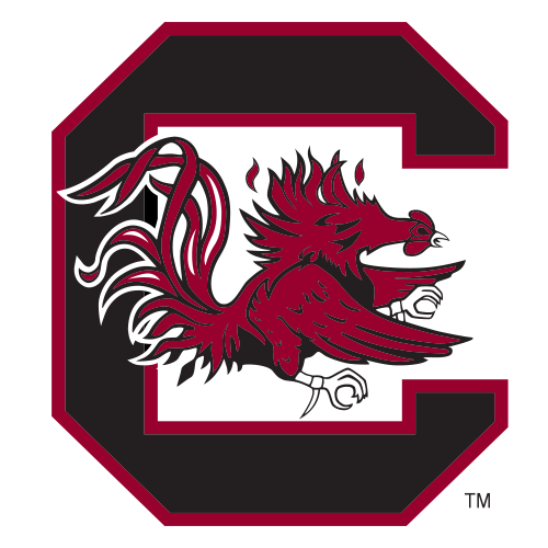 university of south carolina football stats