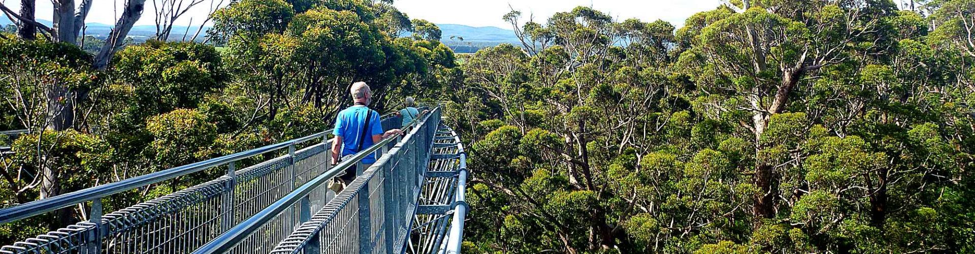 valley of the giants tree top walk reviews