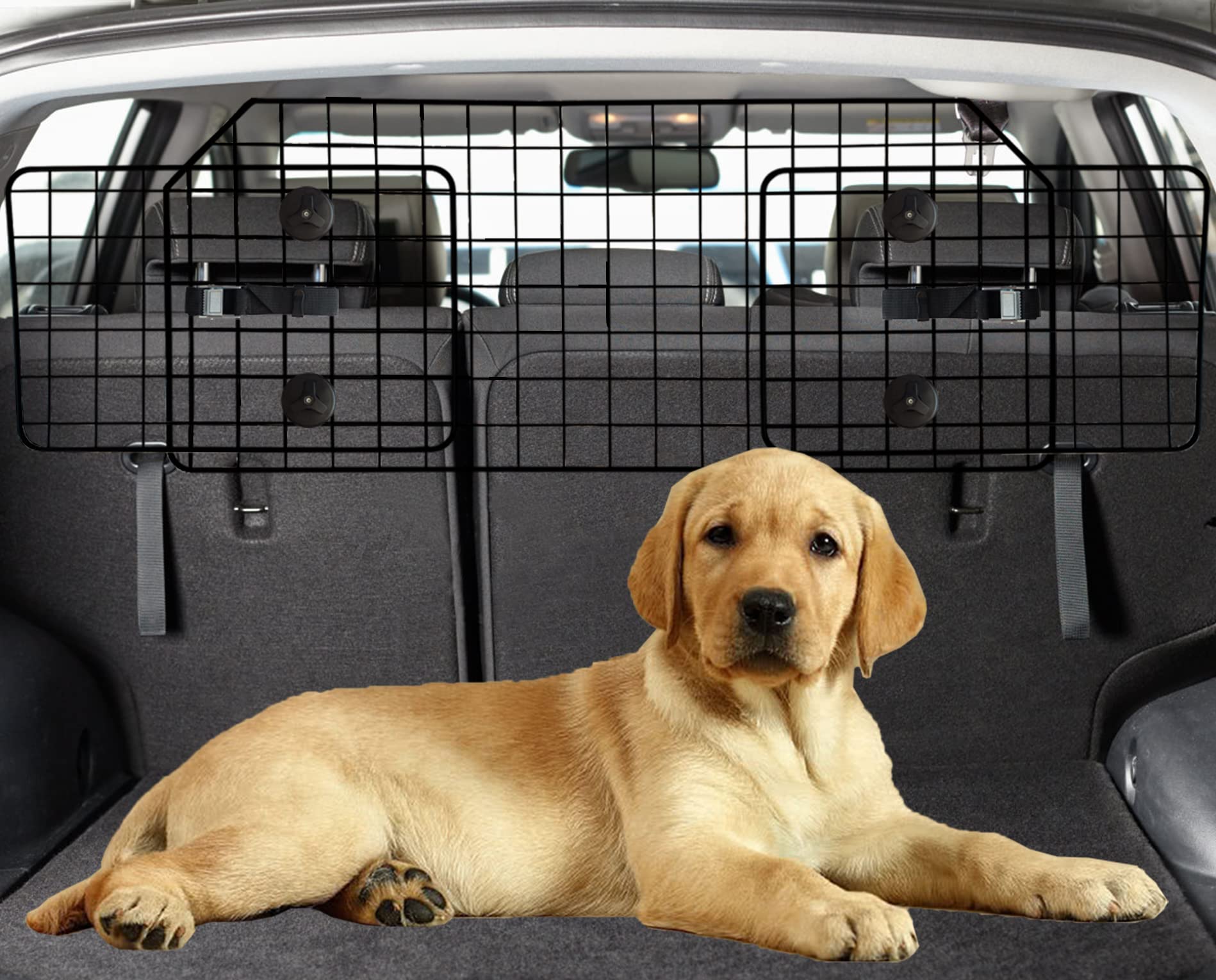 vehicle dog barrier