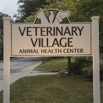 veterinary village briarcliff