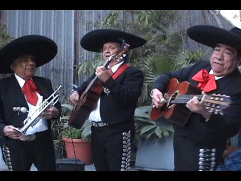 videos de mariachis