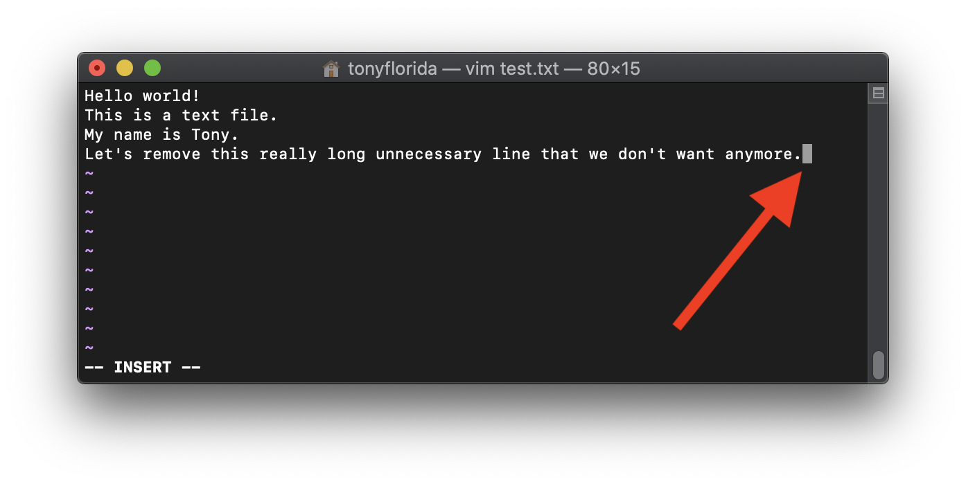 vim end of line