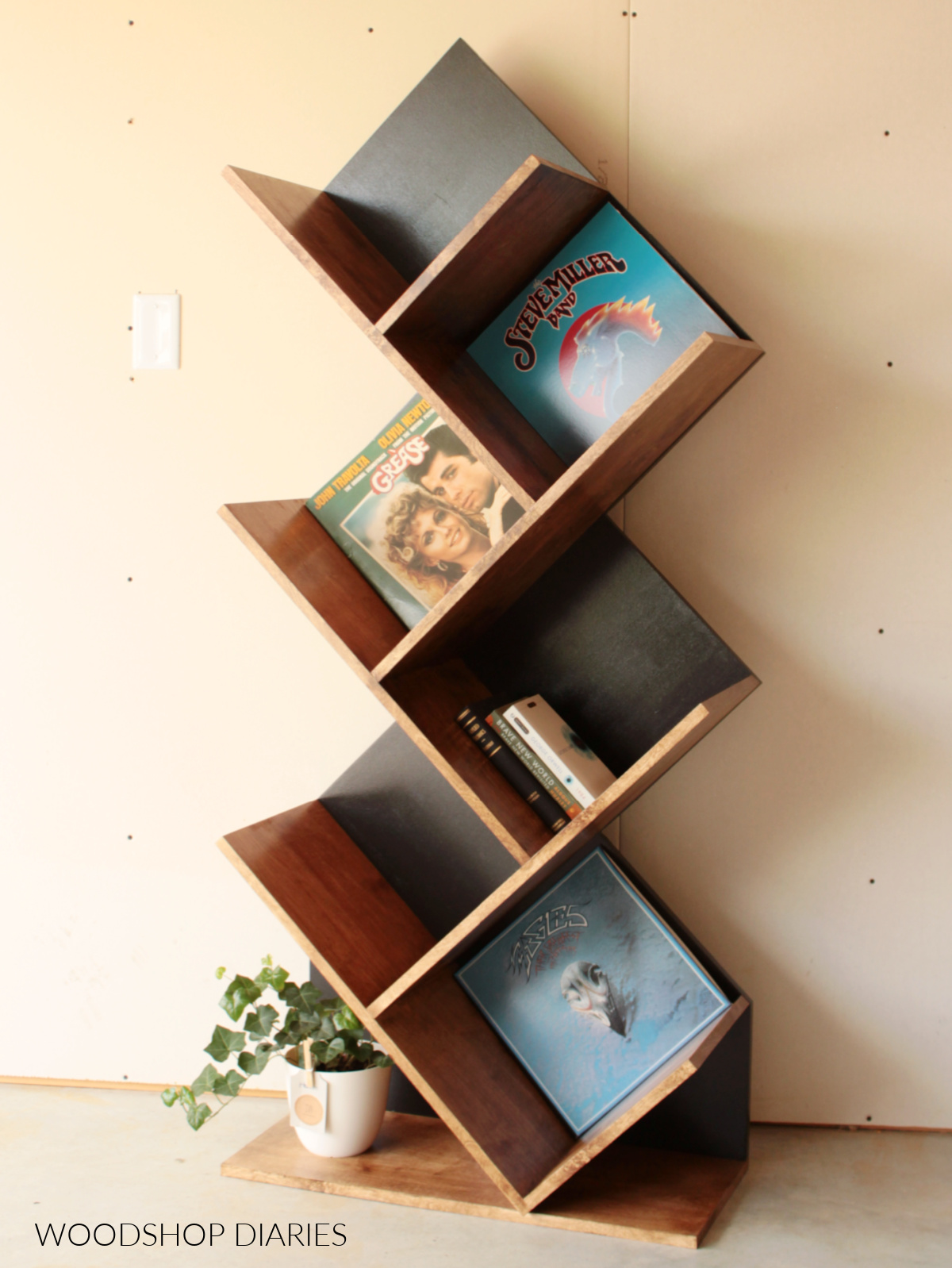 vinyl album shelf