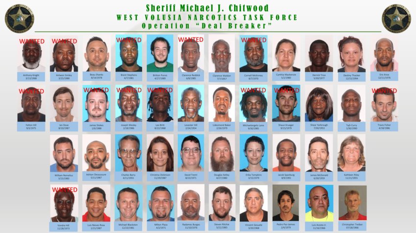 volusia mugshots