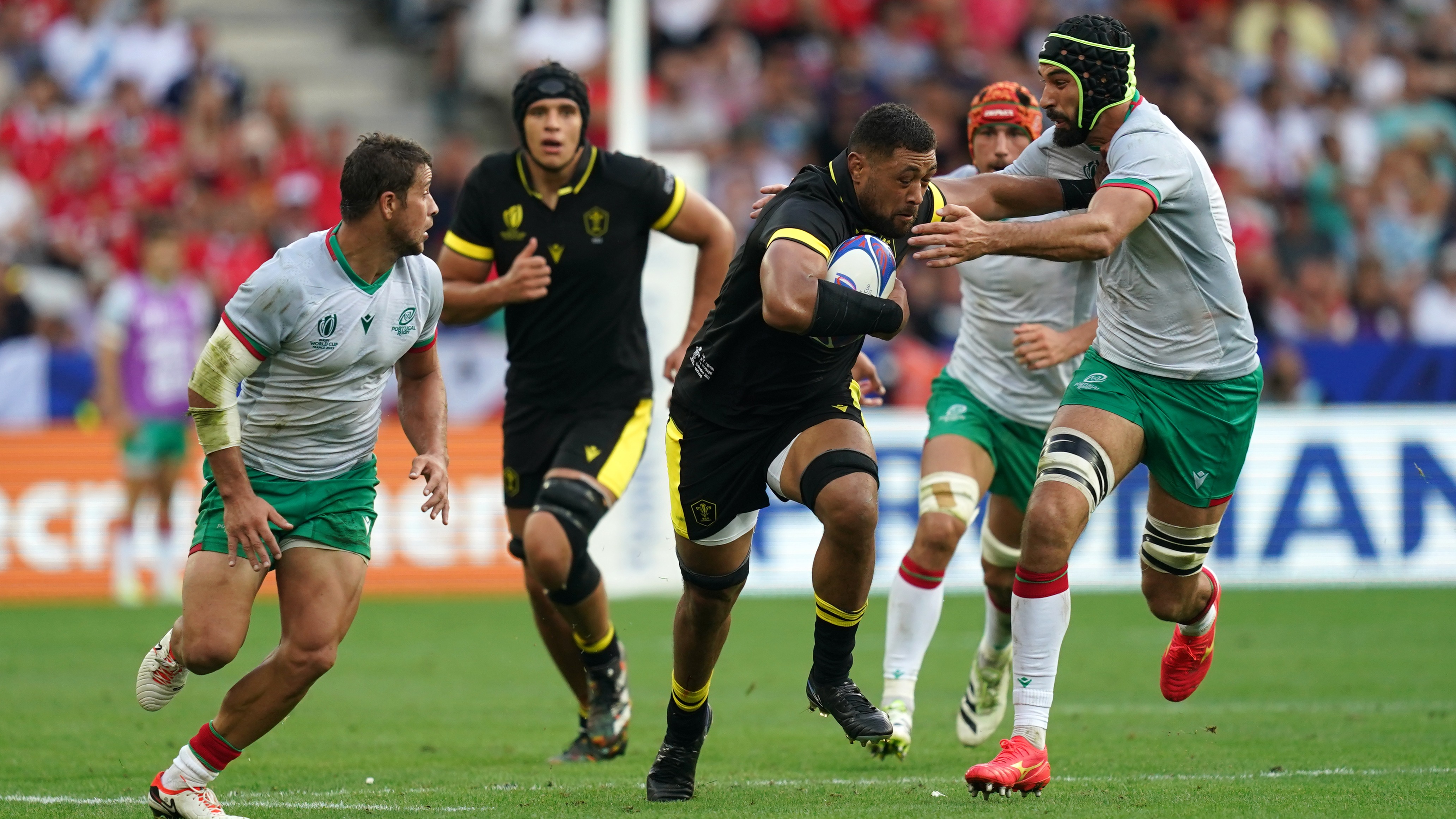 wales v portugal rugby