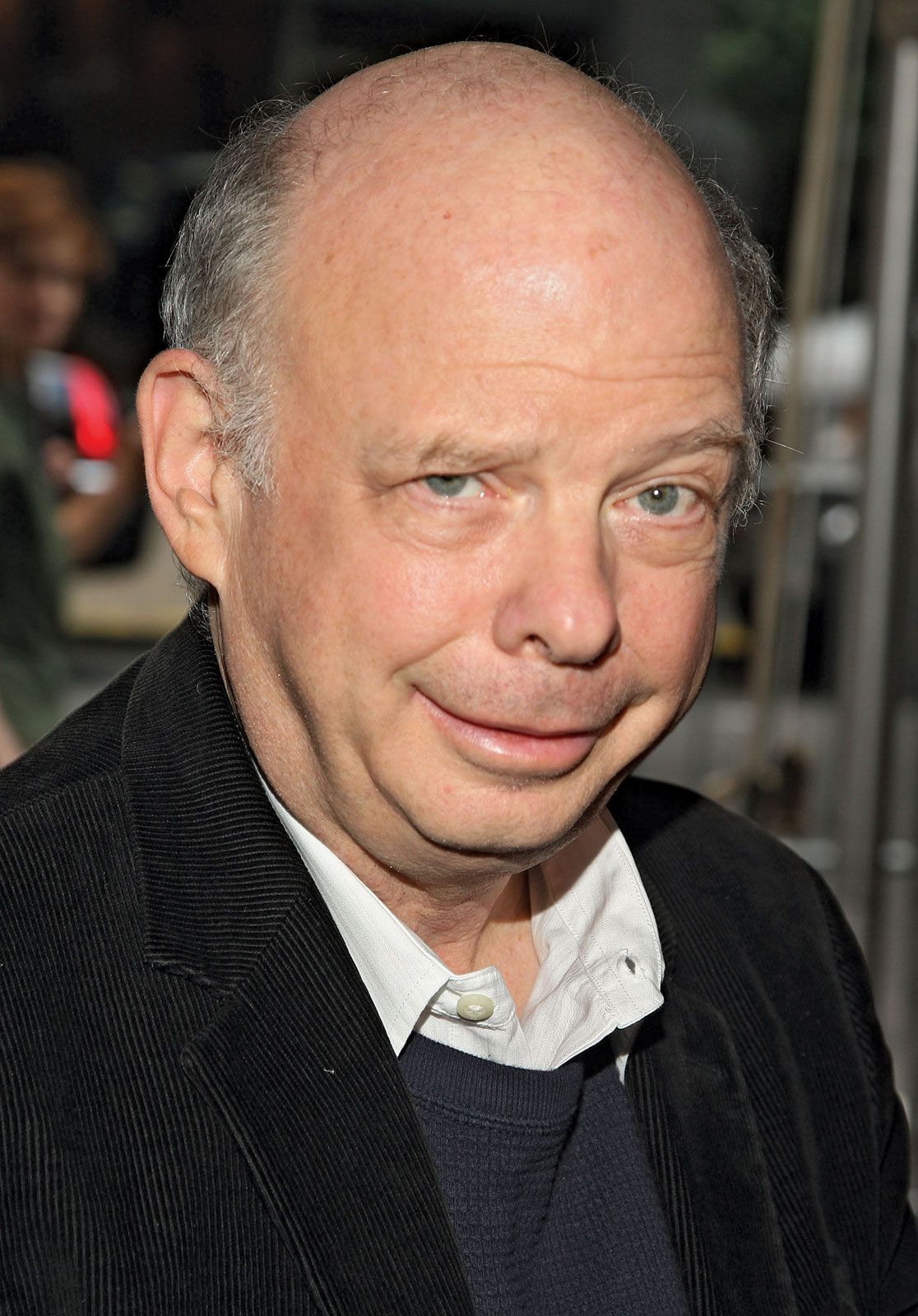 wallace shawn movies and tv shows