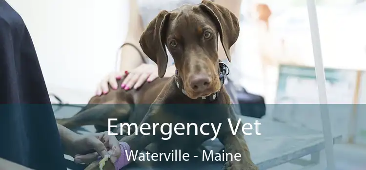 waterville veterinary clinic maine