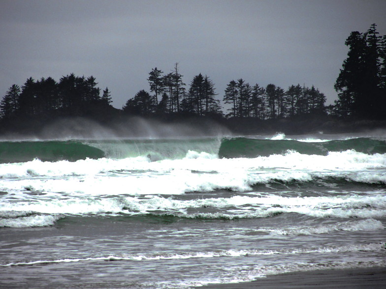 wave forecast tofino