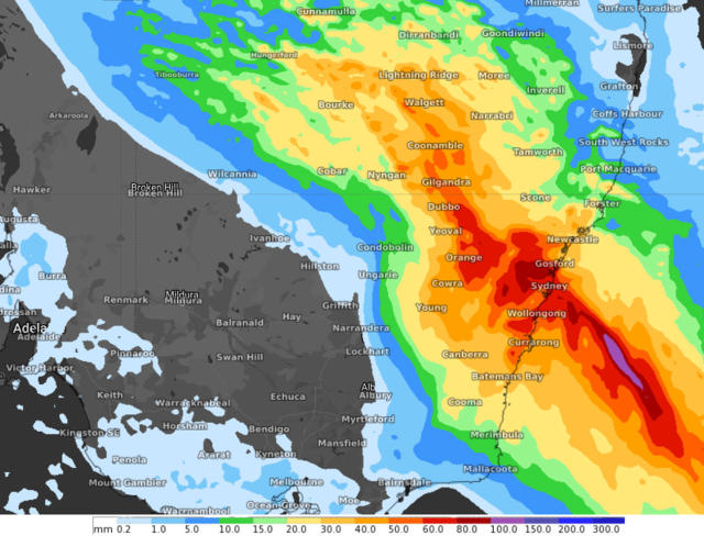 weatherzone sydney