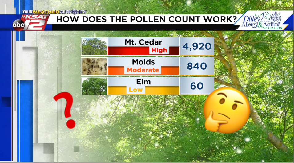 what are the pollen levels today