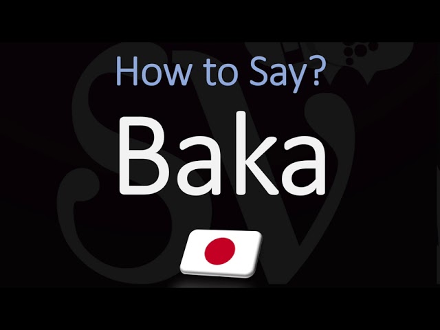 what does baka in japanese mean