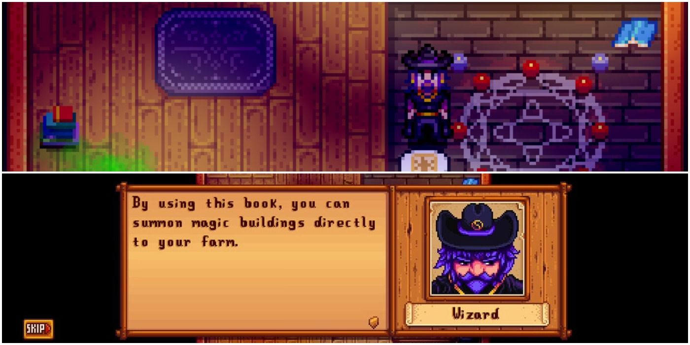 what does the wizard like in stardew valley