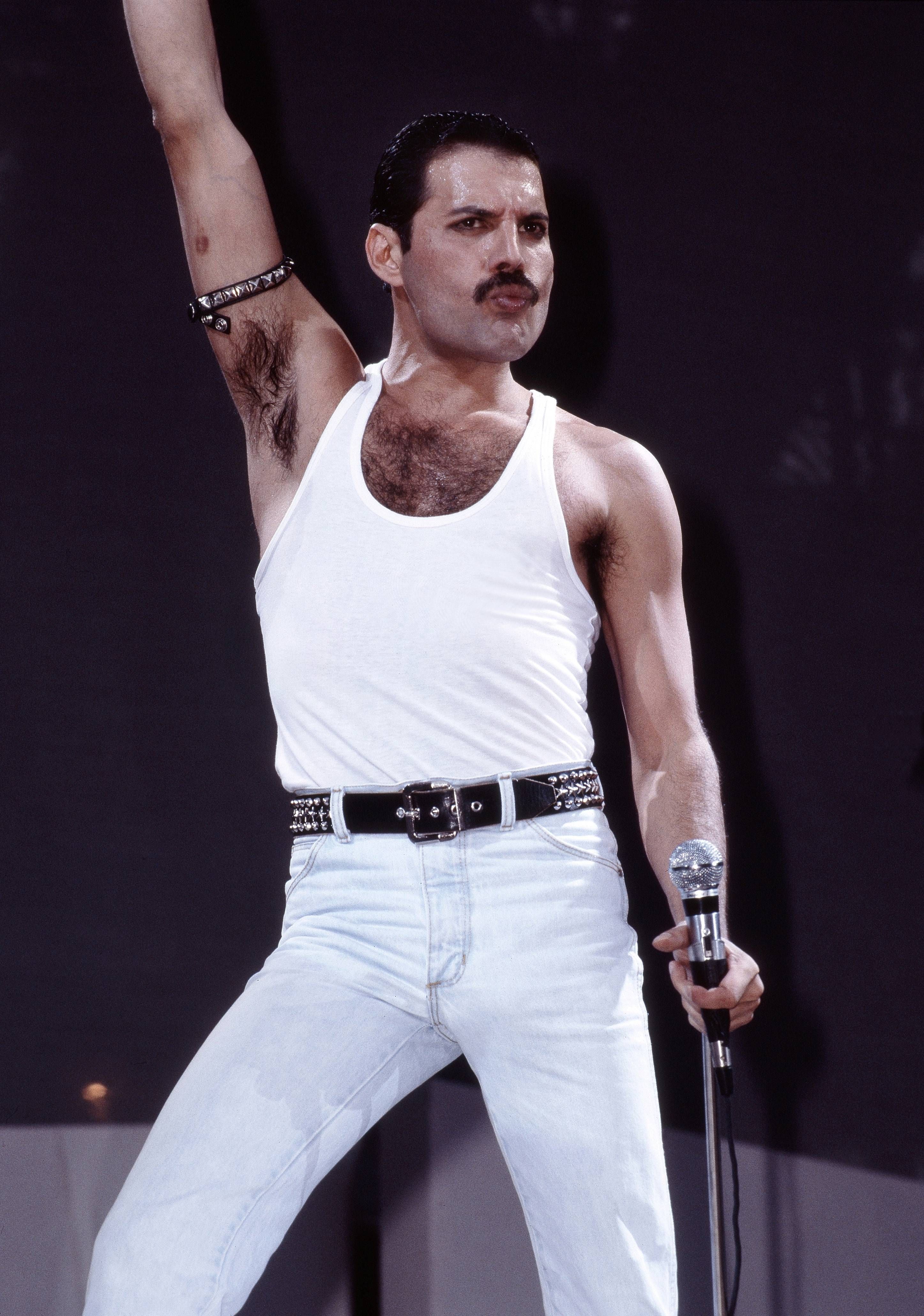 what year did freddie mercury die