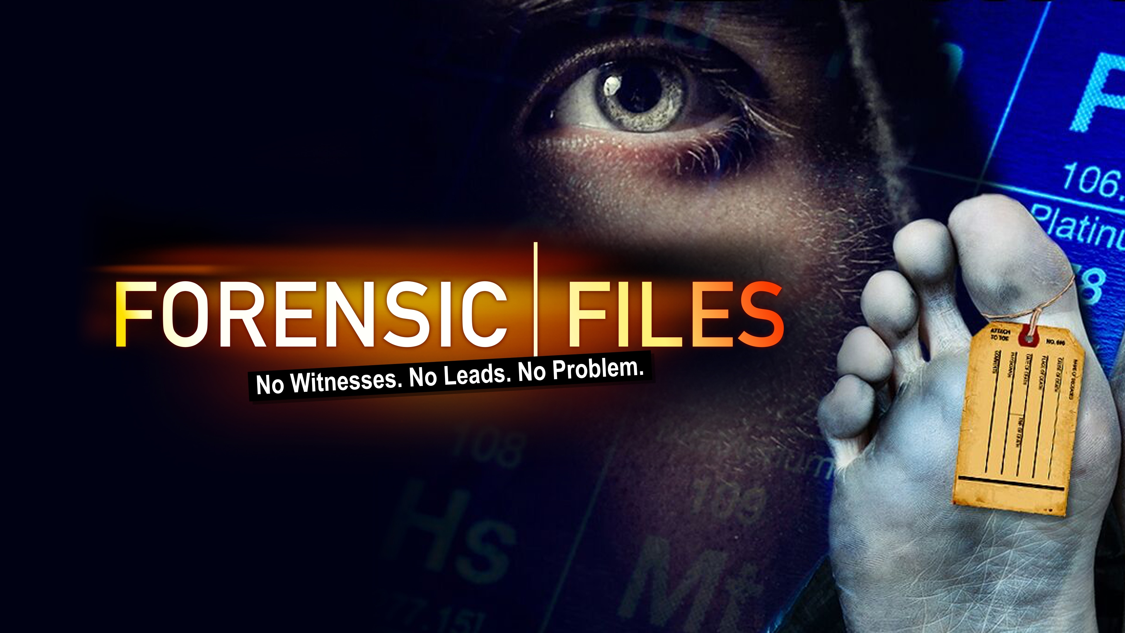 where to watch forensic files