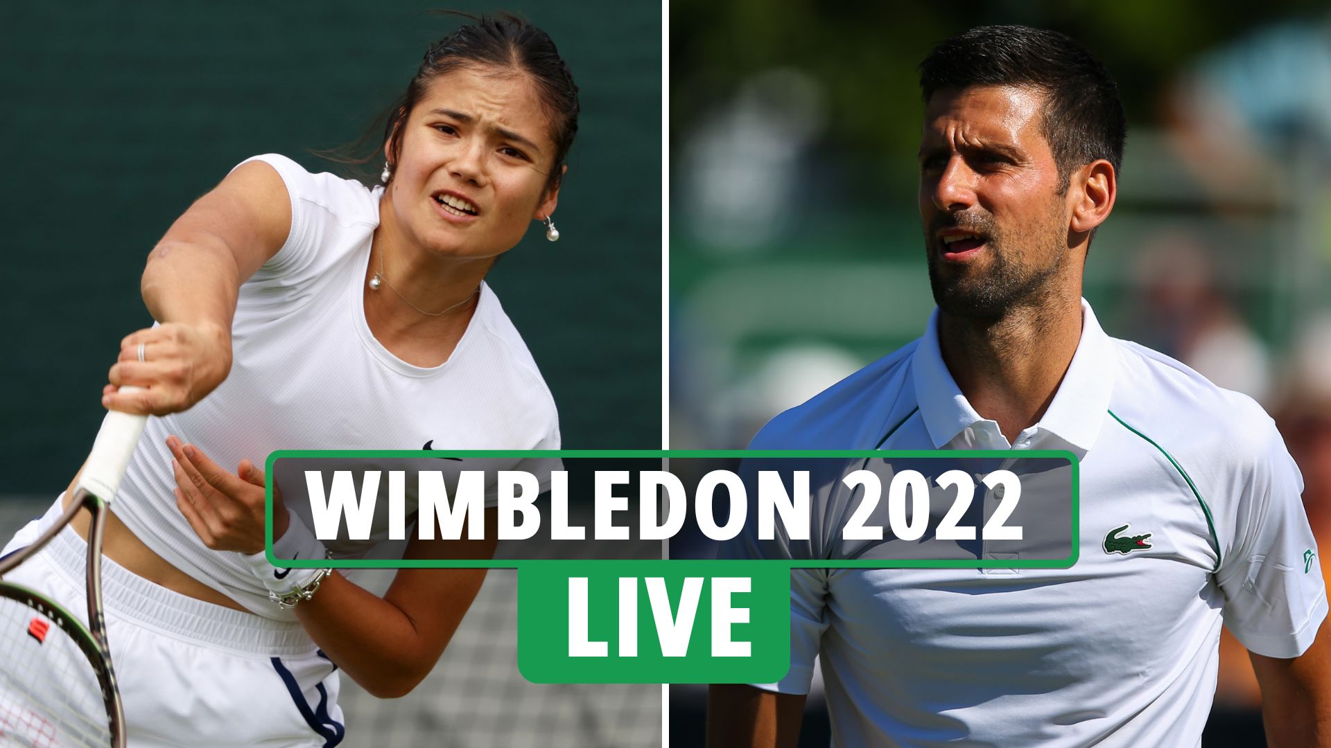 wimbledon live scores