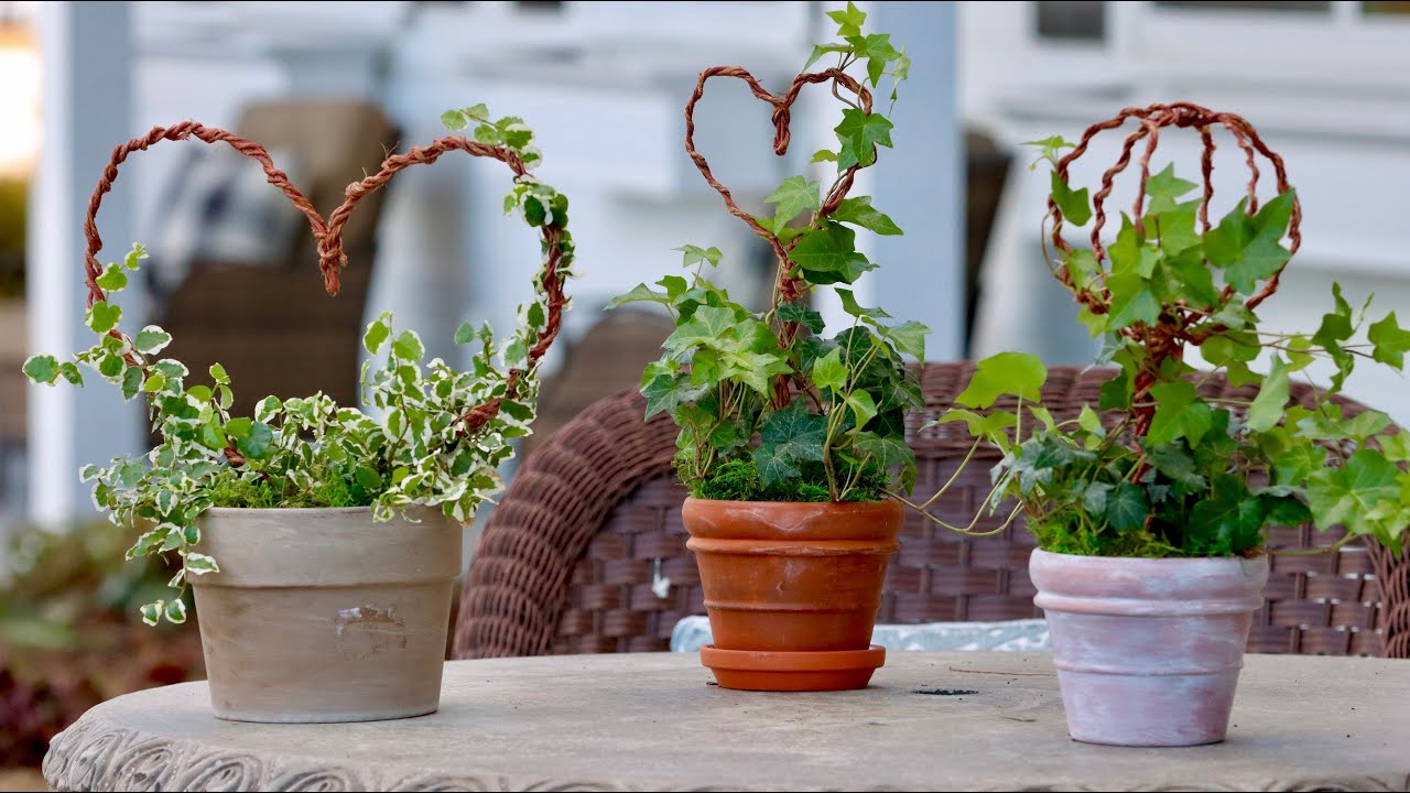 wire for topiary frame