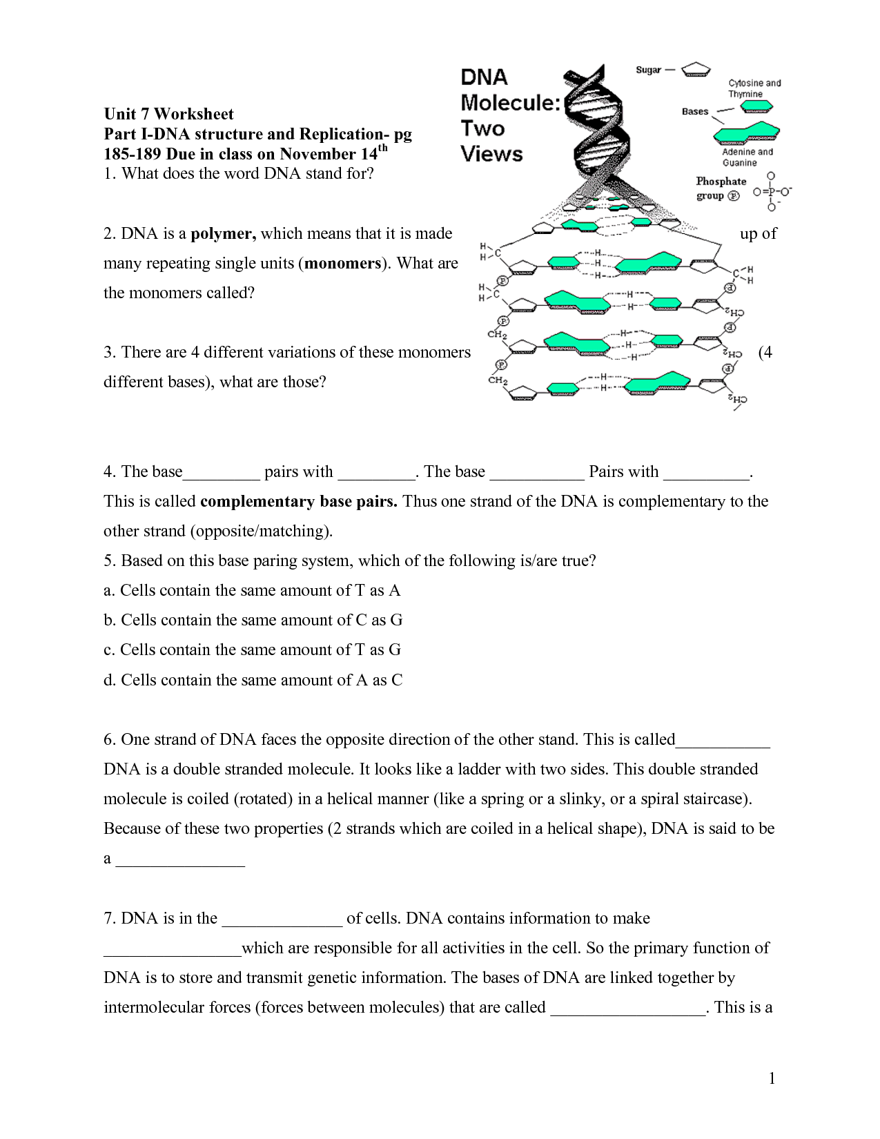 worksheet on dna answer key