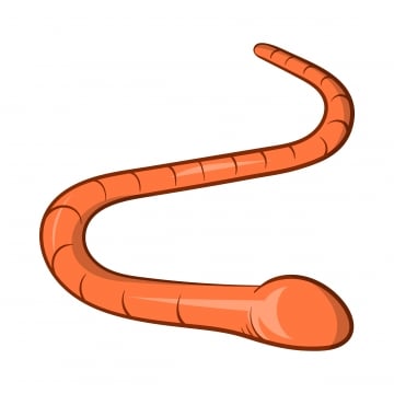 worm vector png