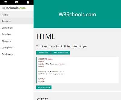 www w3schools com css