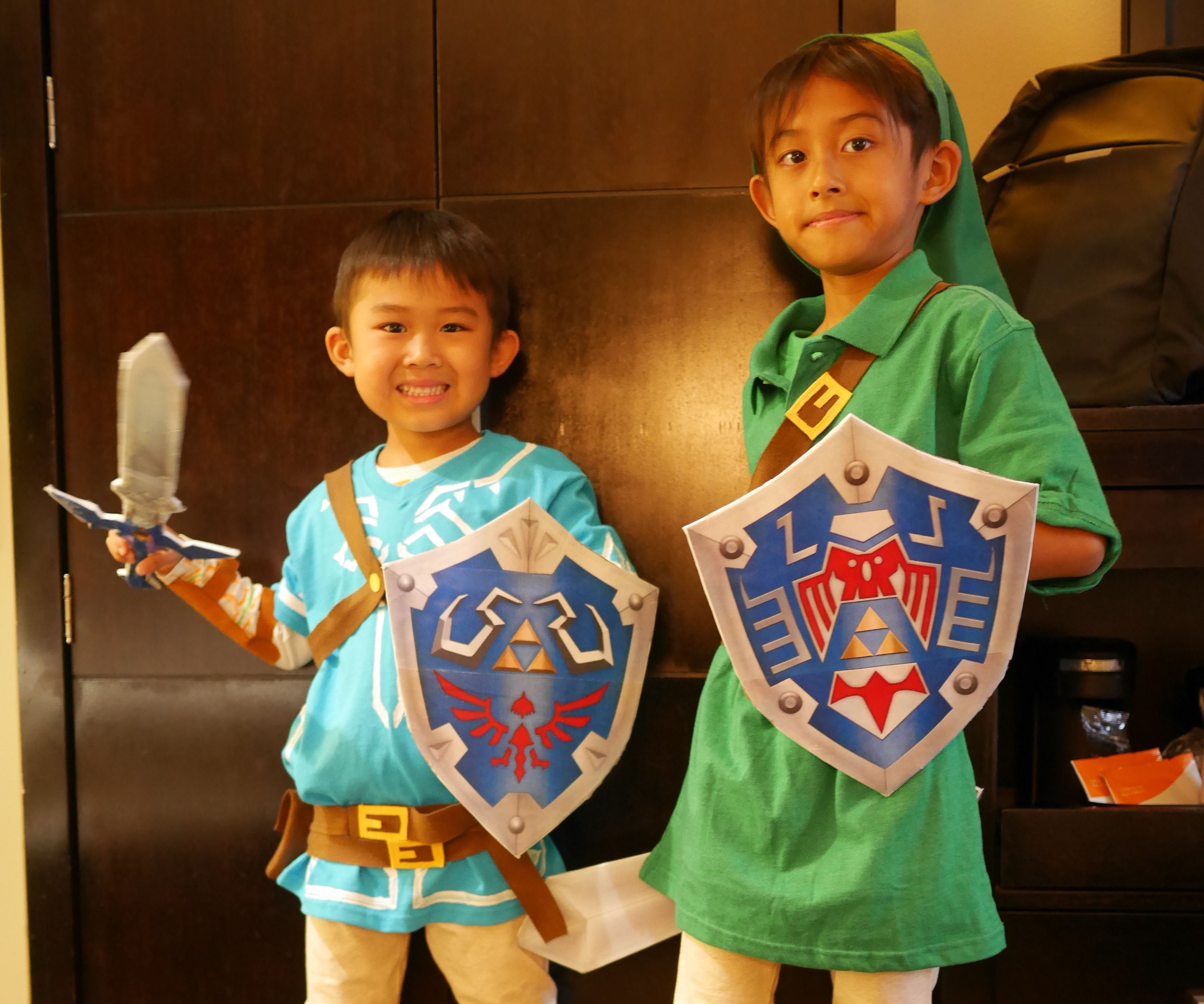 zelda link costume breath of the wild