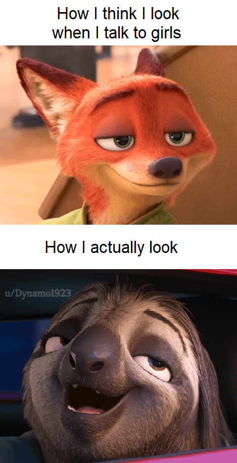 zootopia meme